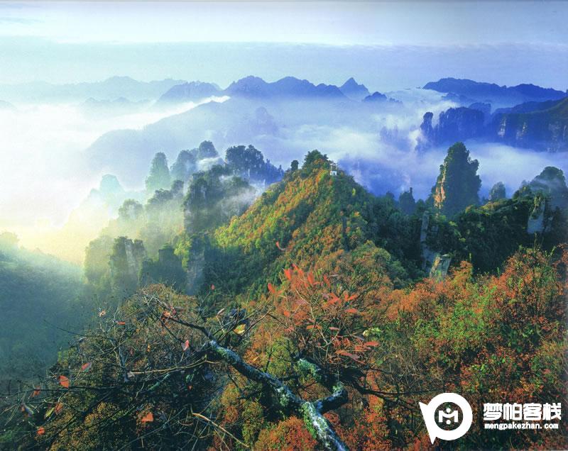 天子山 卧龙岭