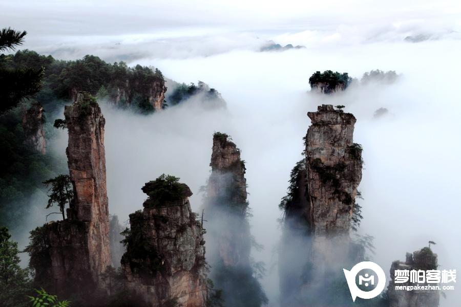 天子山 云青岩