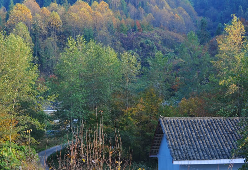 张家界梦帕客栈 天子山店