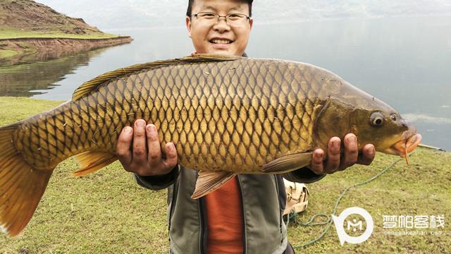 湘西张家界狗司令
